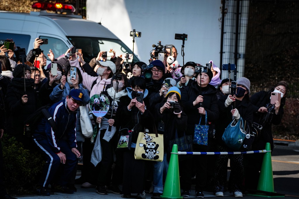 旅日大熊猫“晓晓”和“蕾蕾”周二启程回国。新华社