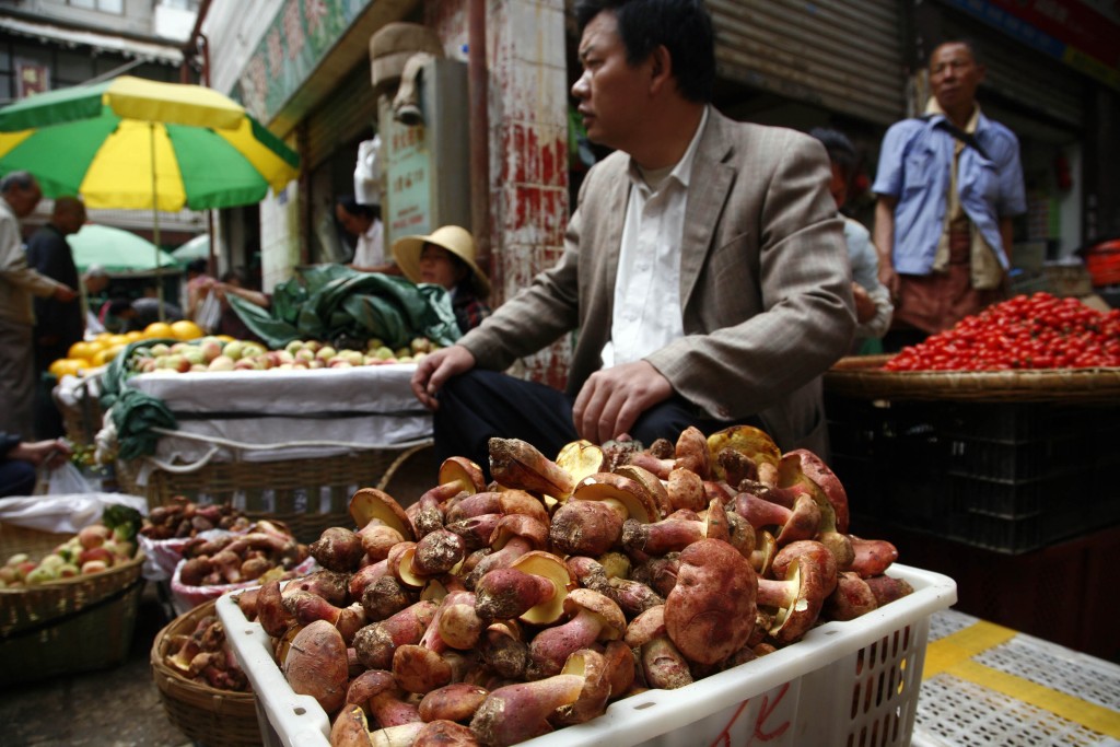 圖為在市場內銷售的野生菌「見手青」。 中新社