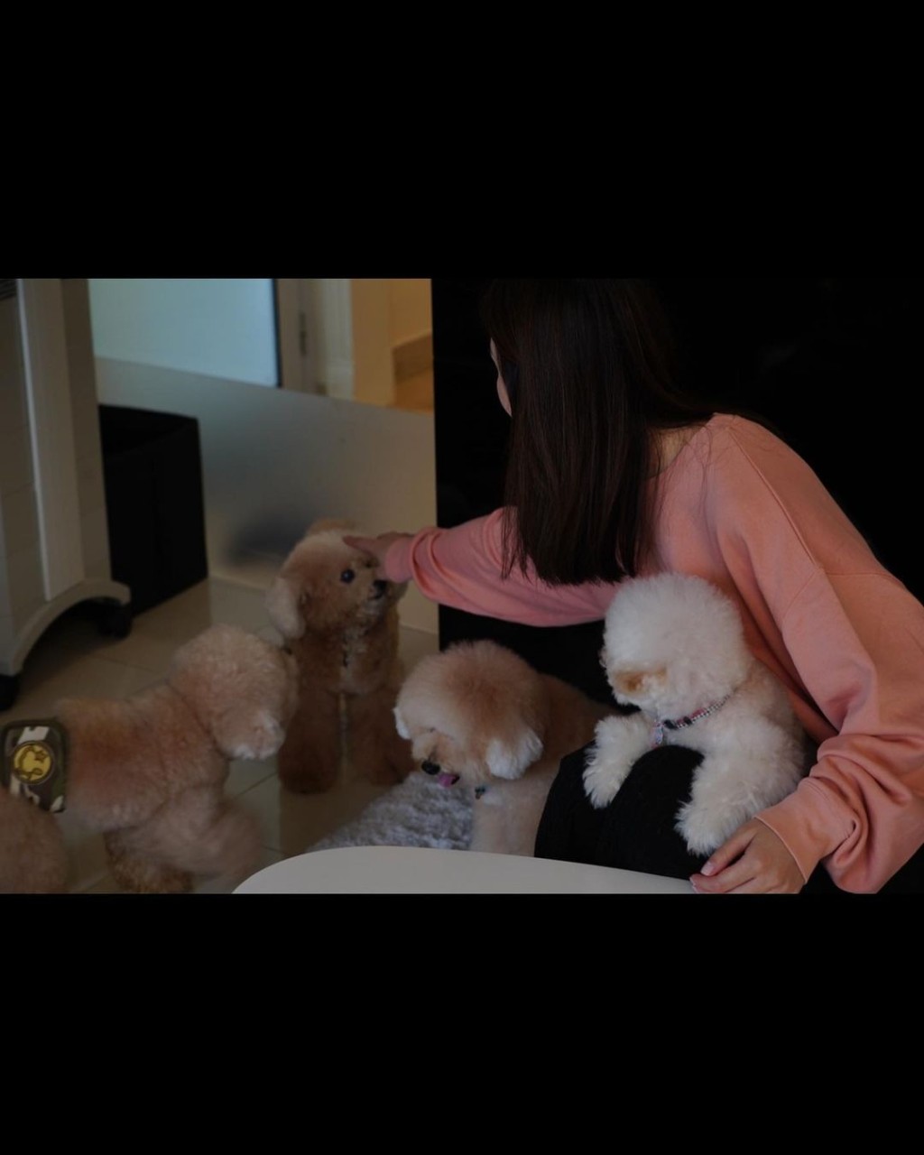 蔡卓妍經常在社交網分享與愛犬的生活點滴。