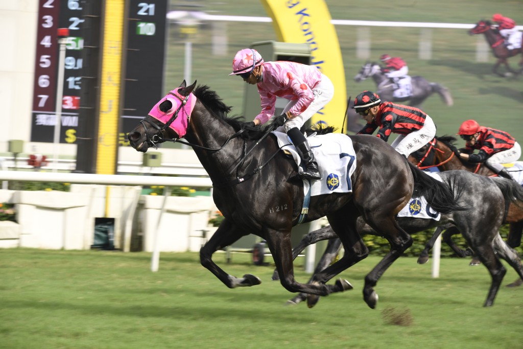 出爭香港馬主協會錦標的「禪勝輝煌」，上場在班德禮胯下跑得梗頸四，今次初配潘頓，力求補中。