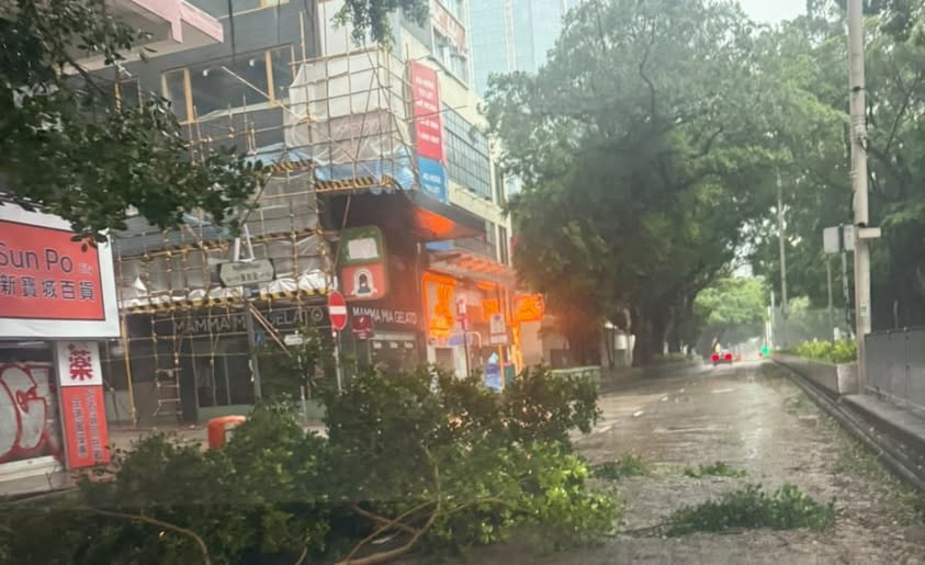彌敦道往尖沙咀方向 近山林道有塌樹阻路。網圖 彌敦道往尖沙咀方向 近山林道有塌樹阻路。網圖