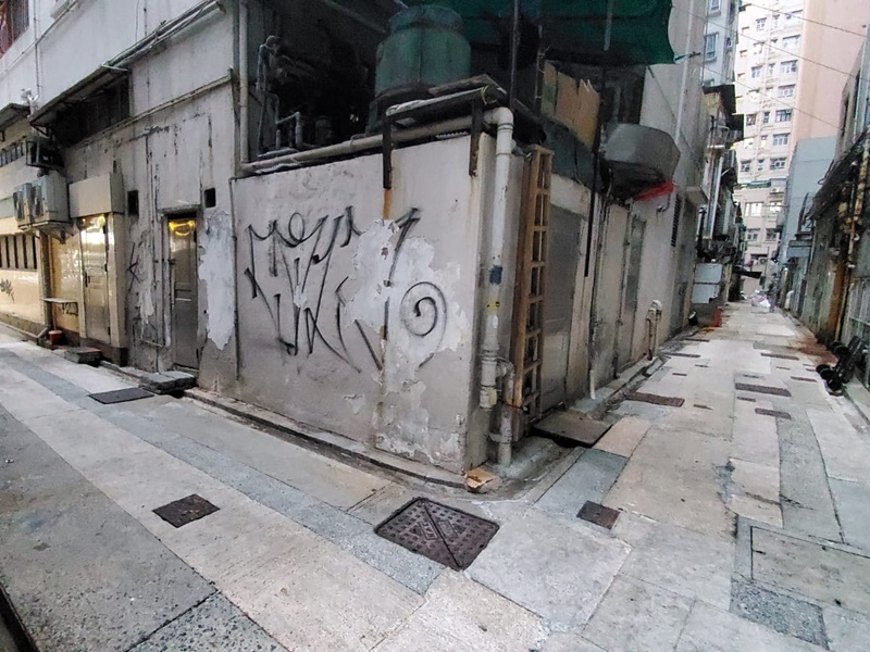 「肥仔」平常於後巷遊盪。