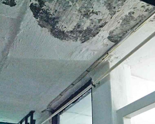滲水辦處理滲水舉報去年普遍要超過90個天才完成調查。