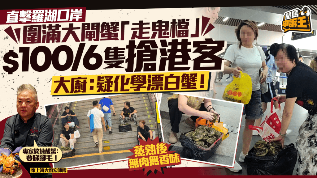 大閘蟹旺季 | 放蛇直擊羅湖口岸「走鬼檔」 $100/6隻專吼港人促銷 淮揚菜大廚：疑化學漂白蟹！