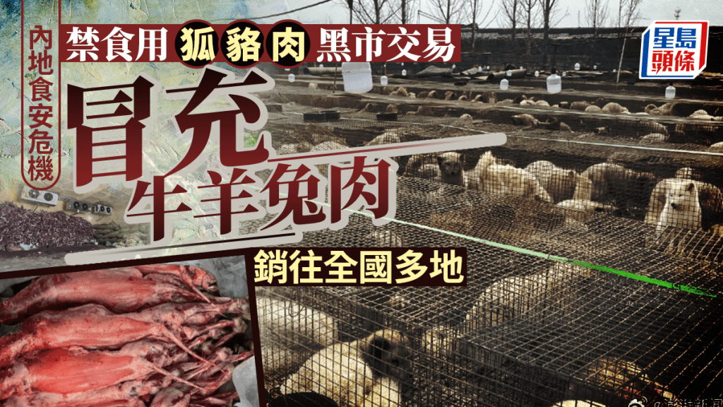 未檢疫禁食用狐貉肉銷往多地,冒充牛羊兔肉引食安危機。