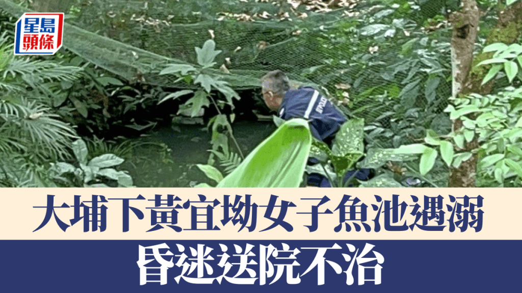 大埔下黃宜坳女子魚池遇溺 昏迷送院不治