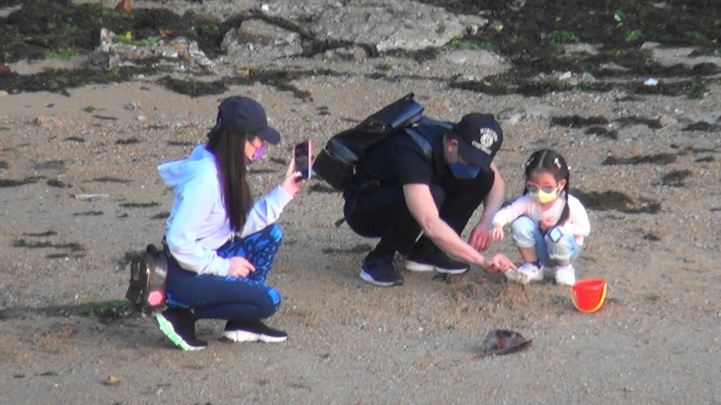 城城於石灘踎低陪大寶捉蟹仔,太太就在旁舉機捕捉父女溫馨時光。