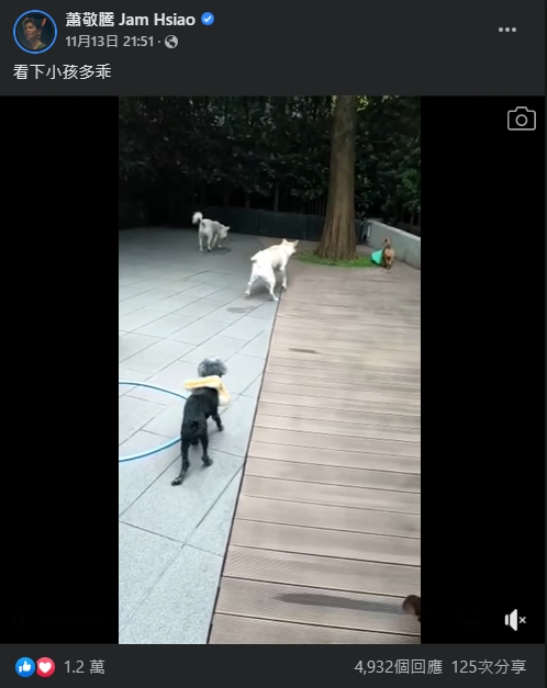 日前佢喺facebook分享愛犬影片。