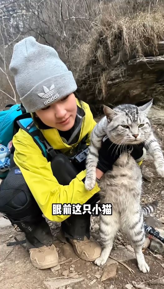 豆豆过去多次被好心游客带落山，试过一天三次自己爬上山回家。抖音