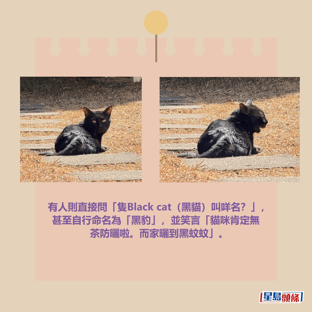 facebook截圖（資料來源：香港天文台 HKO facebook專頁）