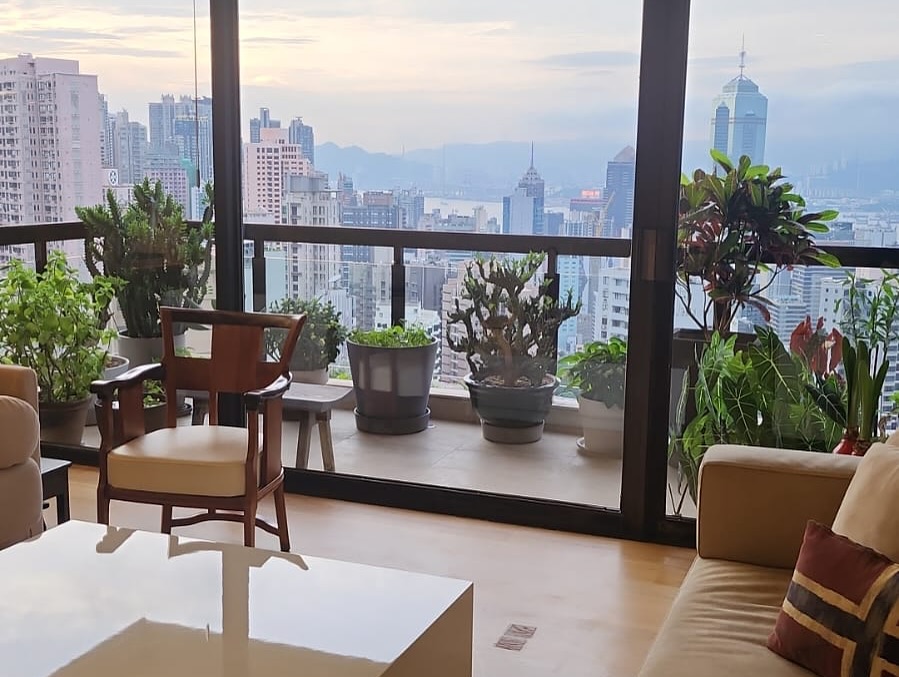 蘇施黃豪宅景觀一流。 蘇施黃豪宅景觀一流。