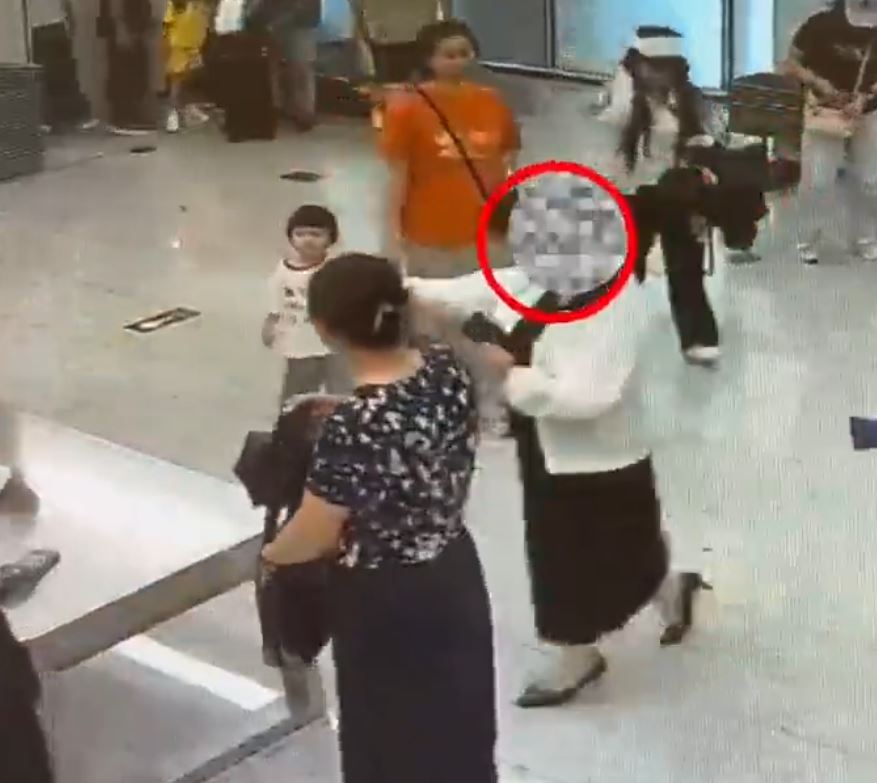 女子入境福田口岸時，被海關在胸圍內發現有4條活蟒。海關發布