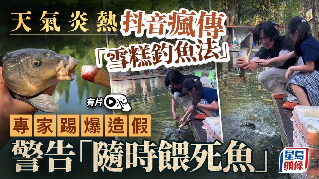 雪糕釣魚短片瘋傳，專家澄清大魚搶食屬條件反射，呼籲釣友切勿盲目跟風污染水質。