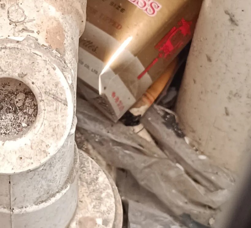 Threads截圖(資料來源:bluebell_raindrop@Threads) Threads截圖(資料來源:bluebell_raindrop@Threads)