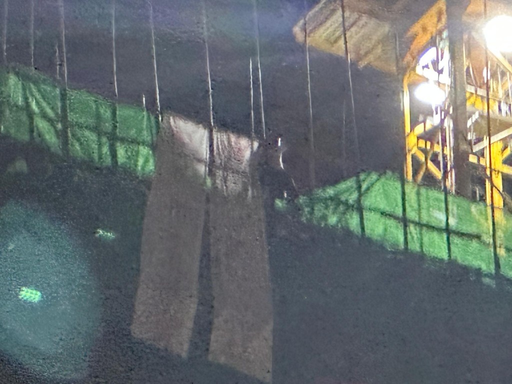 男子於棚架危站。