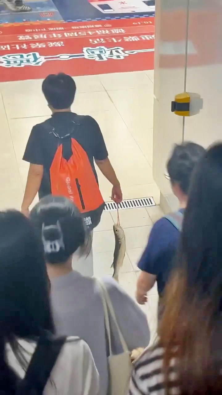 短片僅長約5秒,在落樓梯的人潮中,瞥 見孭橙色背囊的短髮女子,右手竟拿著 一條以紅繩綁著魚鰓的大魚。Threads截圖 短片僅長約5秒,在落樓梯的人潮中,瞥 見孭橙色背囊的短髮女子,右手竟拿著 一條以紅繩綁著魚鰓的大魚。Threads截圖