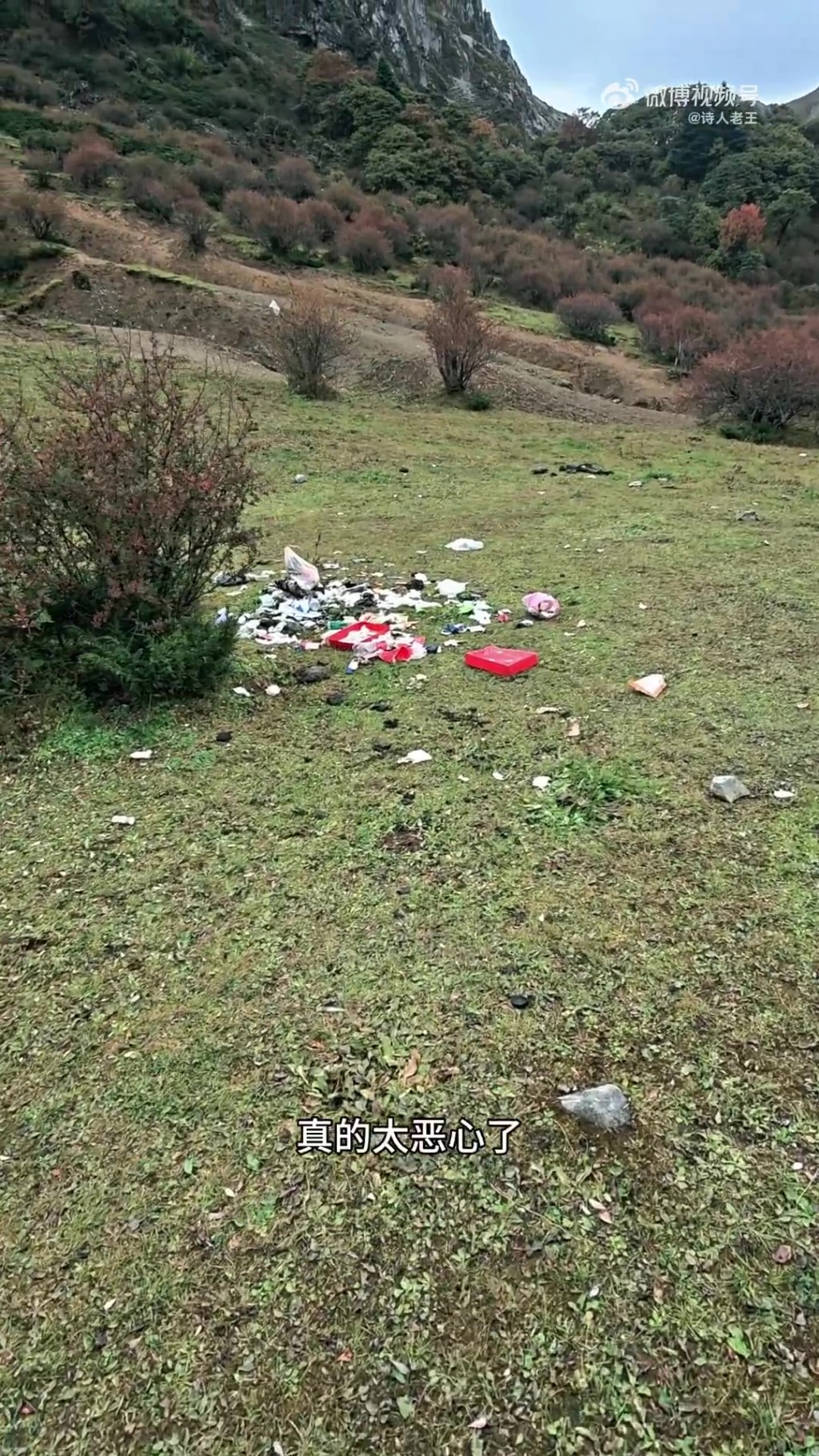 香格里拉4000米高山無人區遍地垃圾,遠足愛好者拍片狂轟。 香格里拉4000米高山無人區遍地垃圾,遠足愛好者拍片狂轟。