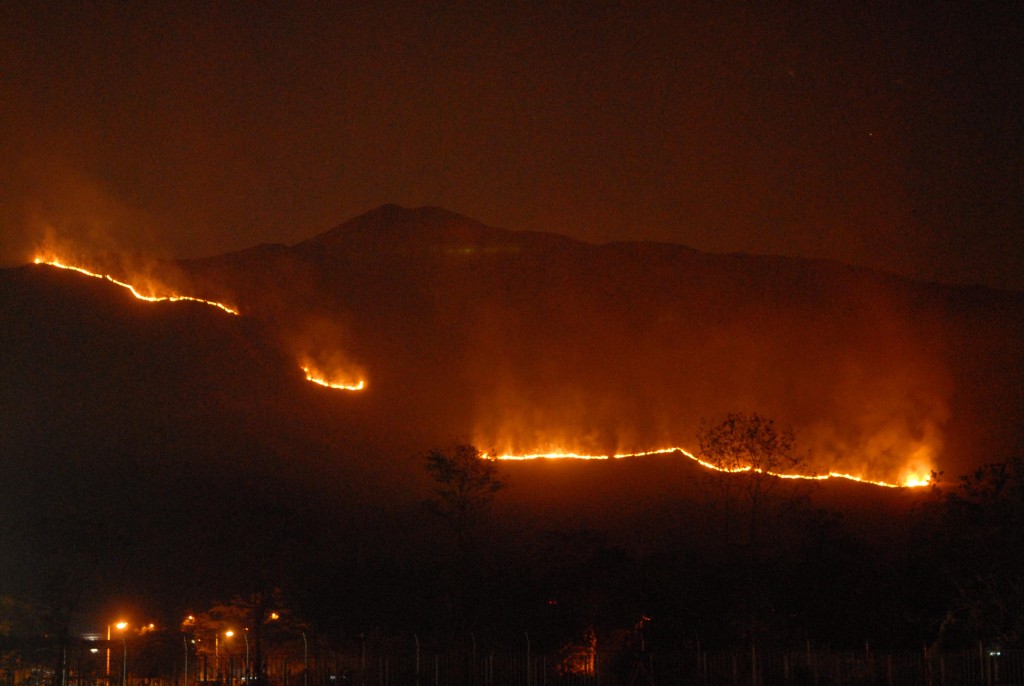 過往春秋二祭雞公嶺曾多次發生山火。資料圖片