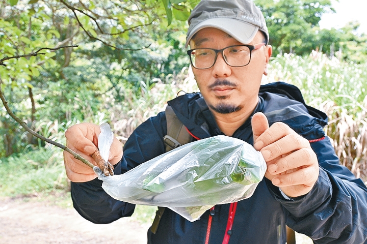 Sunny Sir示範如何以膠袋包着樹葉收集水滴。