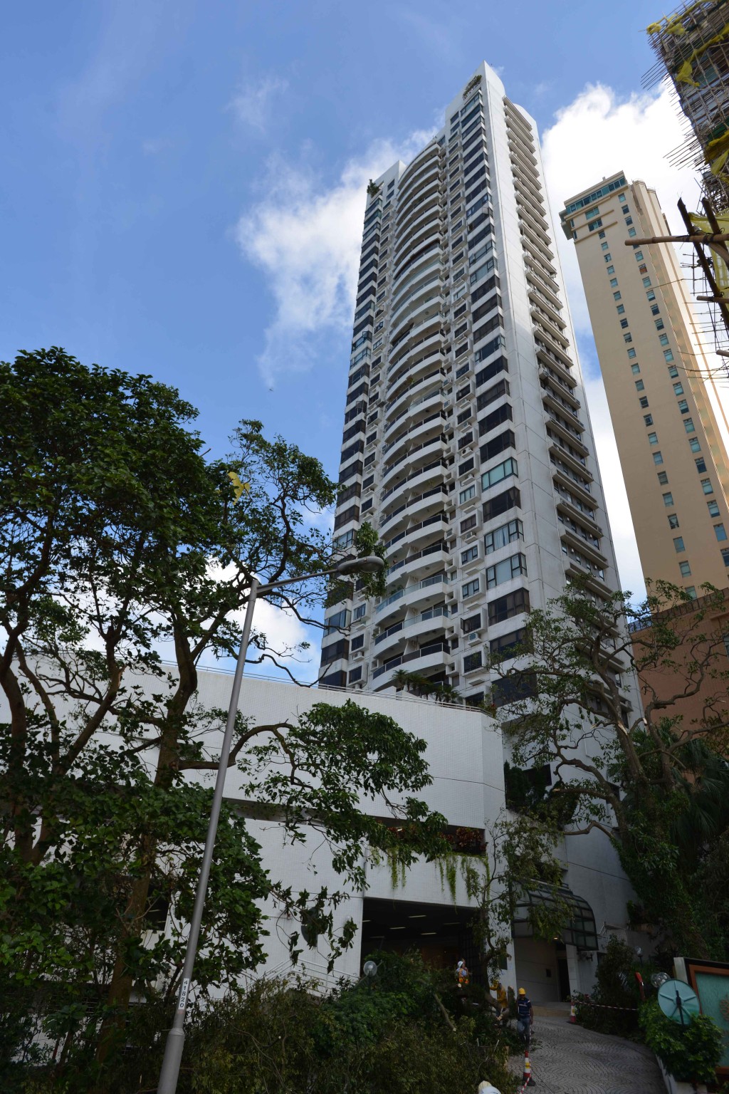 實德環球楊海成1.5億沽中半山峰景。