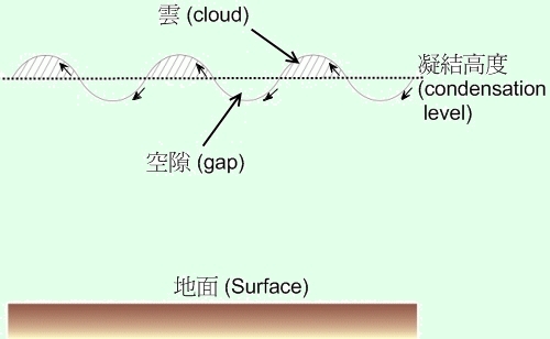 天文台圖文並茂講解「波狀層積雲」。「香港天文台」網頁截圖