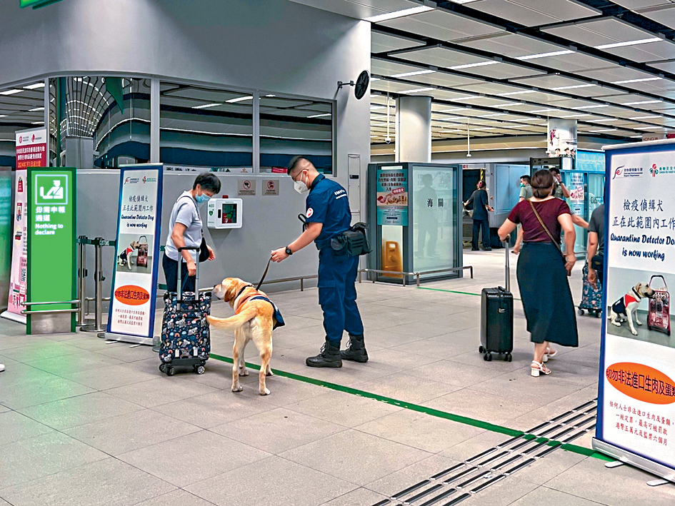 食環署安排檢疫偵緝犬在陸路邊境管制站執勤，堵截非法攜帶野味及肉類等入境。