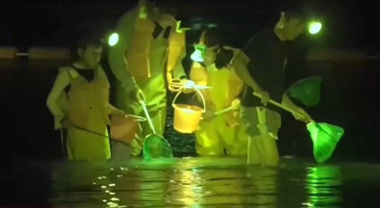 央视踢爆海南红树林遭非法开发,商家剪电网带客闯保护区。 央视 央视踢爆海南红树林遭非法开发,商家剪电网带客闯保护区。 央视