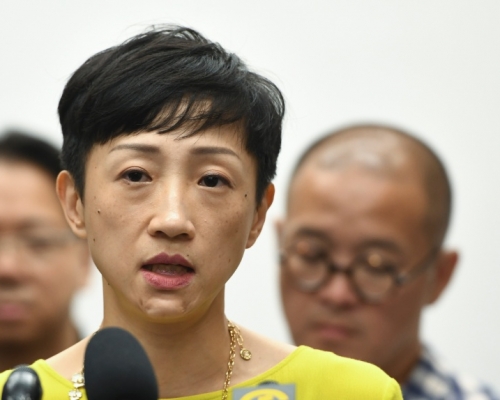 陳淑莊斥責《禁蒙面法》令社會矛盾升溫。
