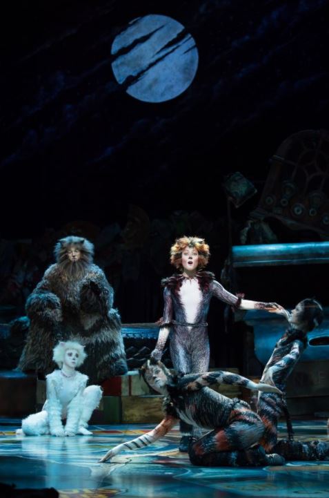 音乐剧《cats》。