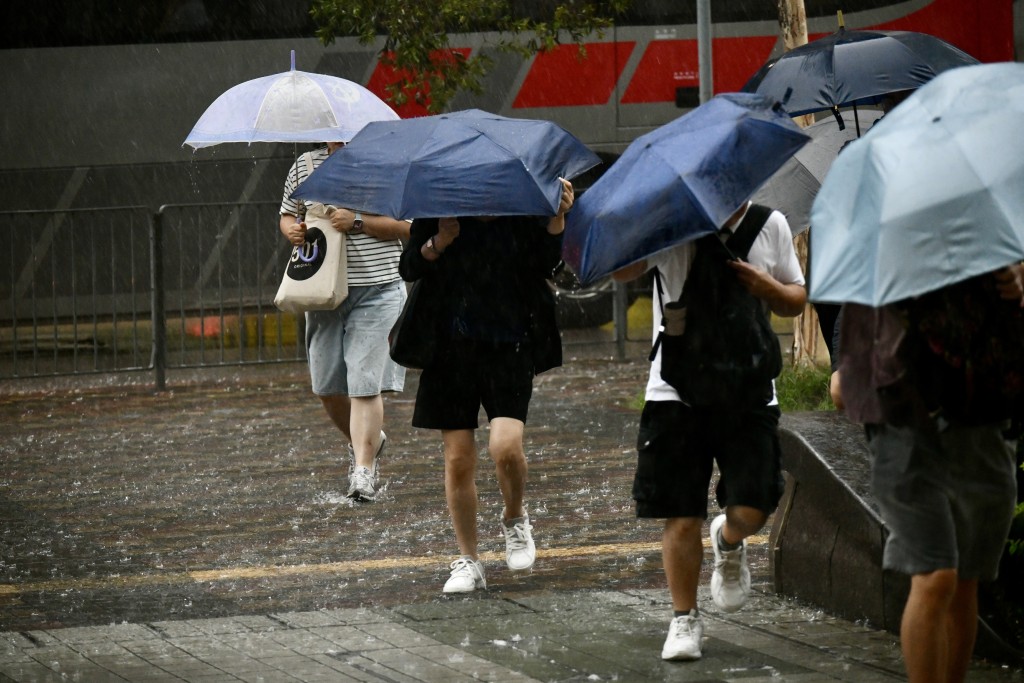 天文台昨日(14日)一度發出黑色暴雨警告信號。資料圖片