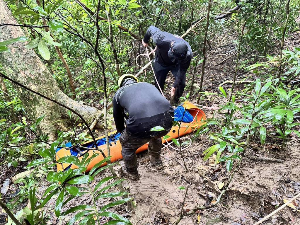 墾丁公園山區發生虎頭蜂攻擊釀2死1重傷事故。中時 墾丁公園山區發生虎頭蜂攻擊釀2死1重傷事故。中時
