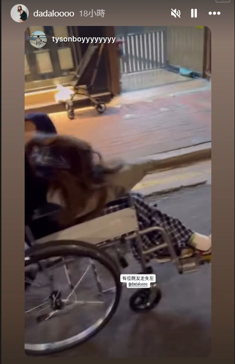 盧頌之全身癱軟無力地躺在輪椅上,頭部完全垂下,需要靠枕頭支撐。 盧頌之全身癱軟無力地躺在輪椅上,頭部完全垂下,需要靠枕頭支撐。