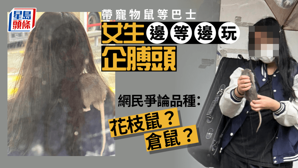 少女帶寵物鼠等巴士 網民側目唔聚財：無眼睇