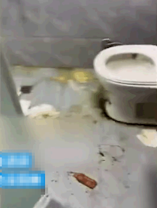 廁所同樣遍地污漬。網圖
