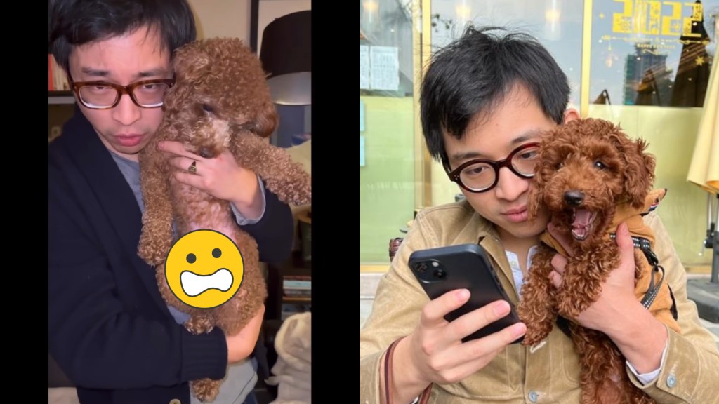 林作發布狗狗勃起照惹公憤 鏡頭放大下體豪言：有我一半