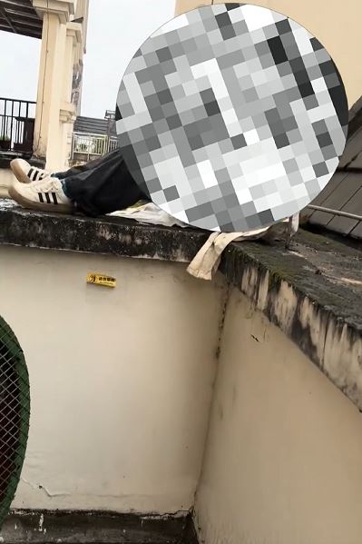 女動保者自責將小狗送入「打包哥」魔掌，一度激動，企圖跳樓。