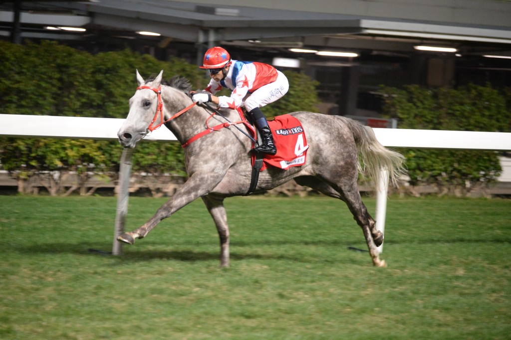 王家揚與哥哥王文揚曾名下之「日日精彩」曾五勝短途賽。