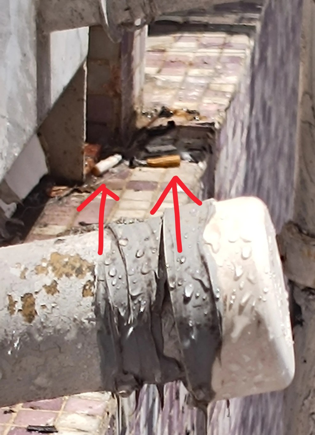 Threads截圖(資料來源:bluebell_raindrop@Threads) Threads截圖(資料來源:bluebell_raindrop@Threads)