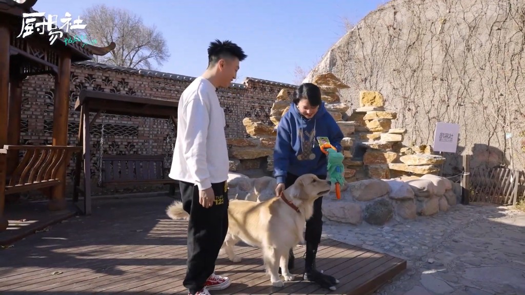 周海媚带爱犬「周六六」一齐上节目。