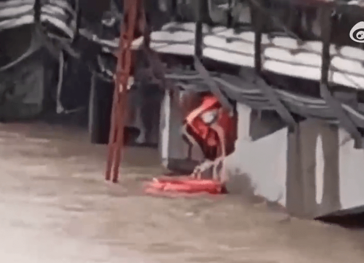 广西玉林暴雨，消防员解救桥下受困人士。 网片截图