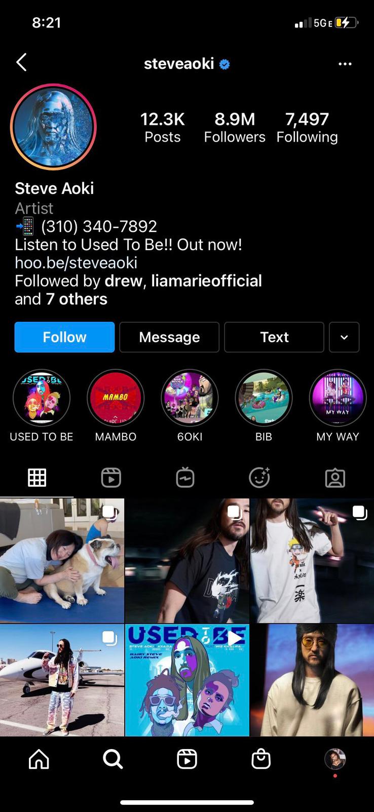 網民根據Followers及帖文數，認為私訊者係Steve Aoki。
