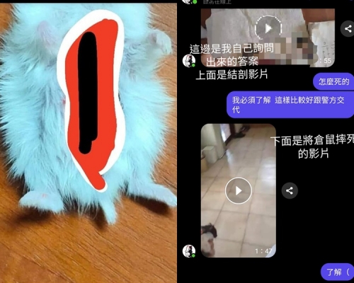 「華人Cosplay交流社」FB圖片