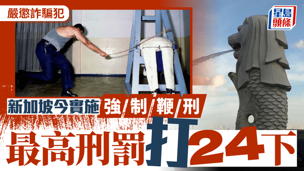 新加坡鐵腕打擊詐騙犯 強制鞭刑今正式生效 最高打24下