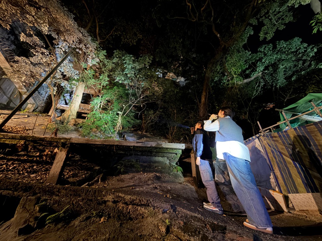 港島總區衝鋒隊的野外巡邏隊聯同西區、中區、灣仔區、東區警區及水警南分區特遣隊及軍裝巡邏小隊，並動員港島總區無人機隊、機動部隊及政府飛行服務隊，於2月6日至2月9日期間，展開為期4日的跨部門聯合反爆竊行動。警方提供
