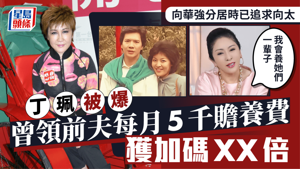 丁珮被爆曾領前夫每月5千贍養費獲加碼XX倍  向華強分居時追陳嵐  向太：我會養她們一輩子
