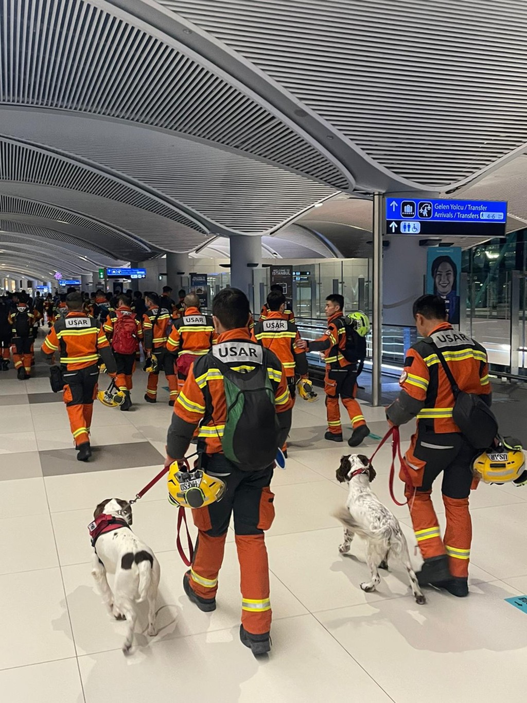 由於兩隻搜救犬周六回港後需要檢疫，故未有在機場亮相。