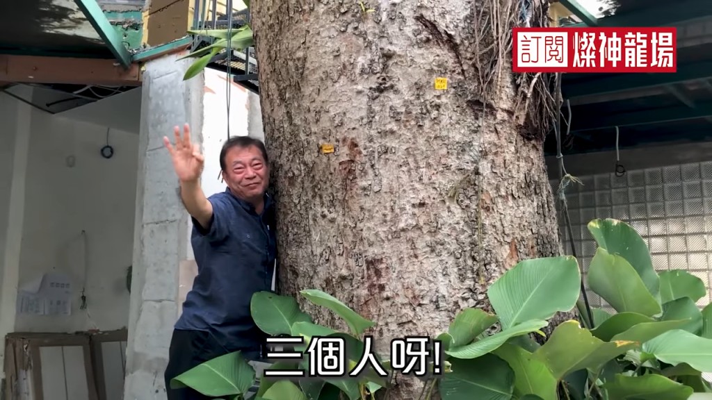 門口有巨樹。