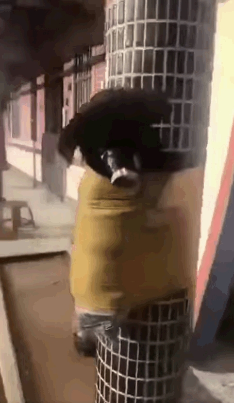 小黑狗被人像「木乃伊」般纏綁柱上動彈不得。影片截圖
