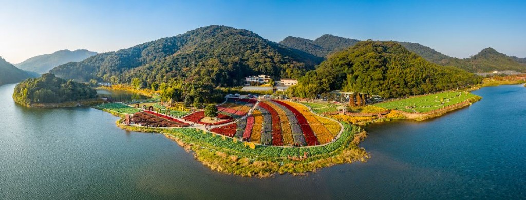 廣州春節好去處2024｜石門國家森林公園 四季景色迷人，春天雲霧繚繞，山花爛漫，原始次生林畔有天池花海。（圖片來源：Trip.com）