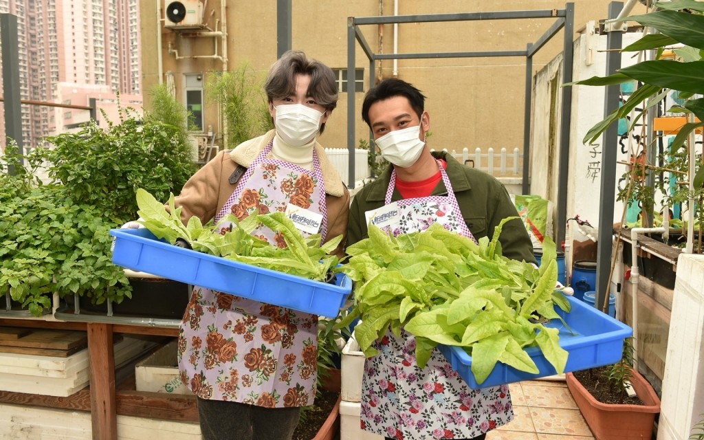 洪卓立與吳浩康到工廈農場工作室拍攝,同場加演領獎時間。